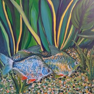 Silver Dollars In The Tank